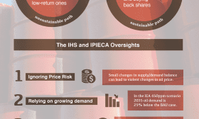 Climate Risk and the Fossil Fuel Industry Myopia