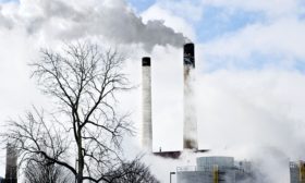 EU carbon prices could double by 2021 and quadruple by 2030