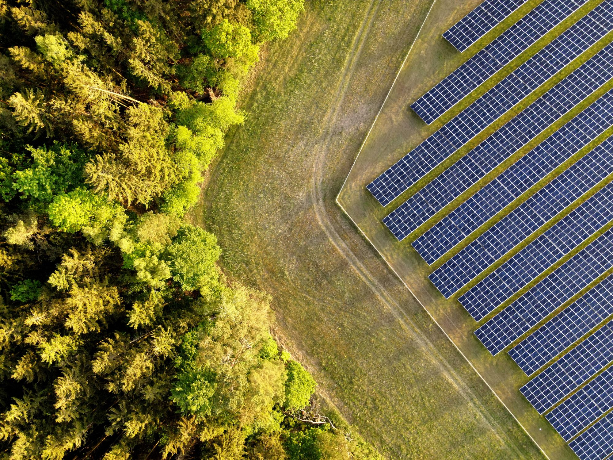 photovoltaikanlage-solarpark-freifl-chenanlage-mit-gr-nem-carbon